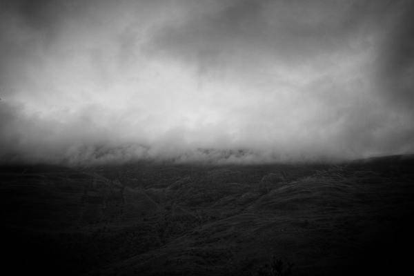 2021年最新的取自古诗词中的名字 2021年最新的取自古诗词中的名字