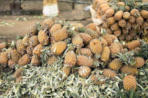 最新版甜美幸福的情侣网名大温柔小甜蜜